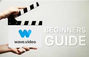 Wave.video Explained: Beginner’s Tutorial